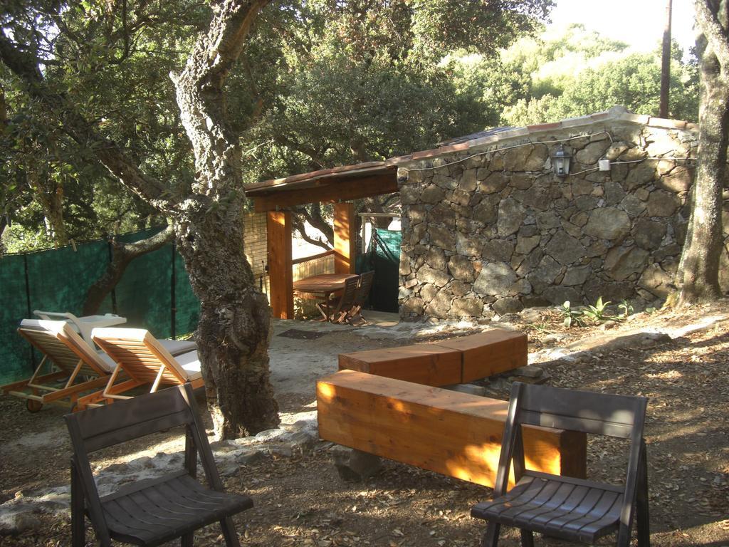 Maisonnette Du Berger De Croccano Sartène Dış mekan fotoğraf